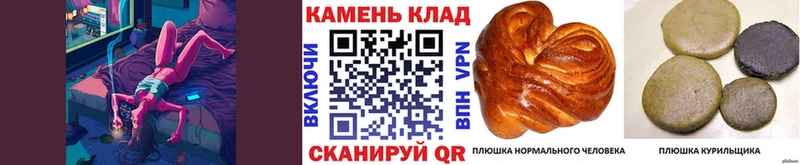 где продают   площадка состав  ГАШ Ice-O-Lator  Комсомольск 