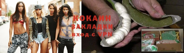 твердый Новодвинск